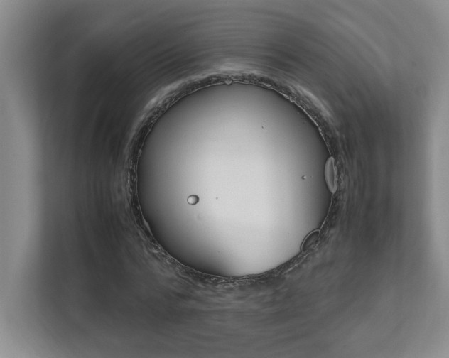 X0000112040776200908031041