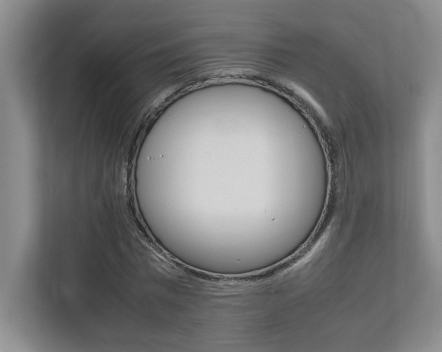 X0000112040777200908031041