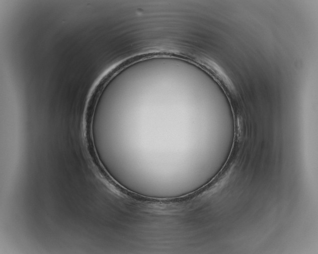 X0000112040780200908031041