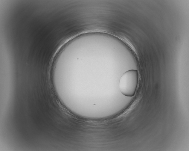 X0000112040781200908031041