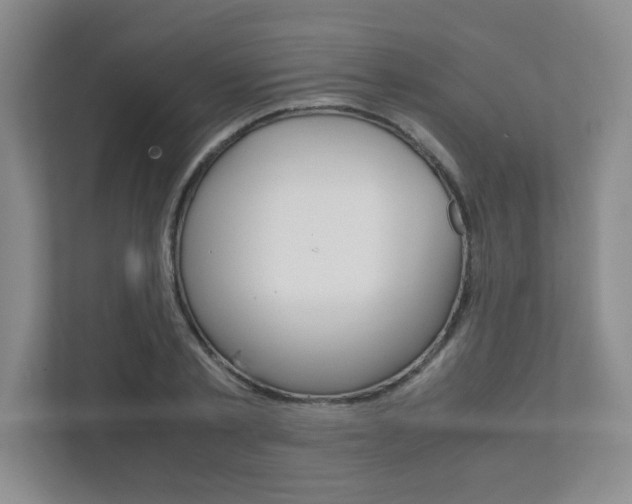 X0000112040789200908031041