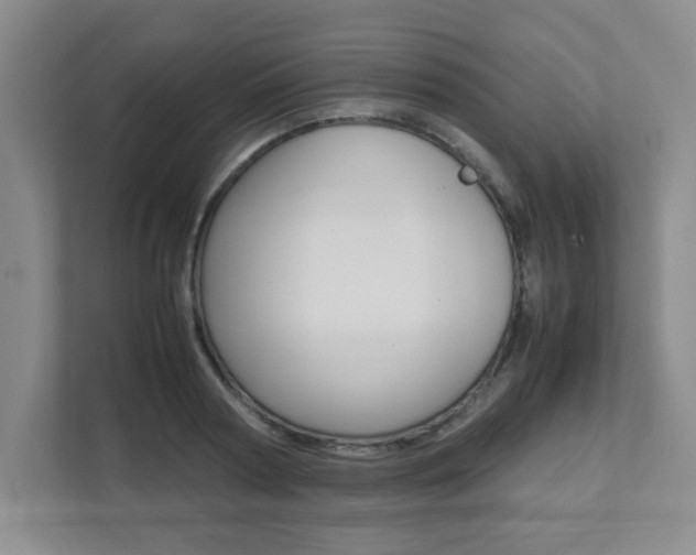X0000112040794200908031041