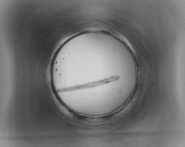 X0000112040795200908031041