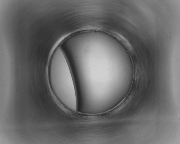 X0000112040796200908031041