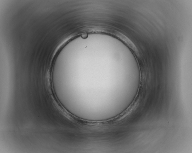 X0000112040798200908031041