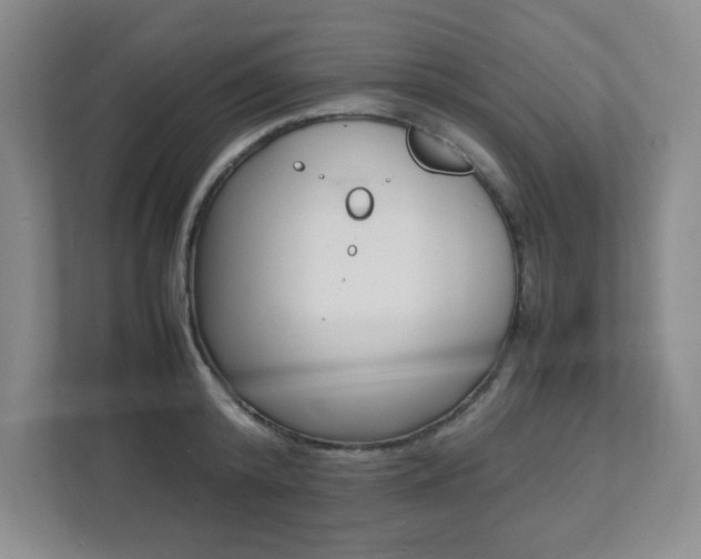 X0000112040800200908031041