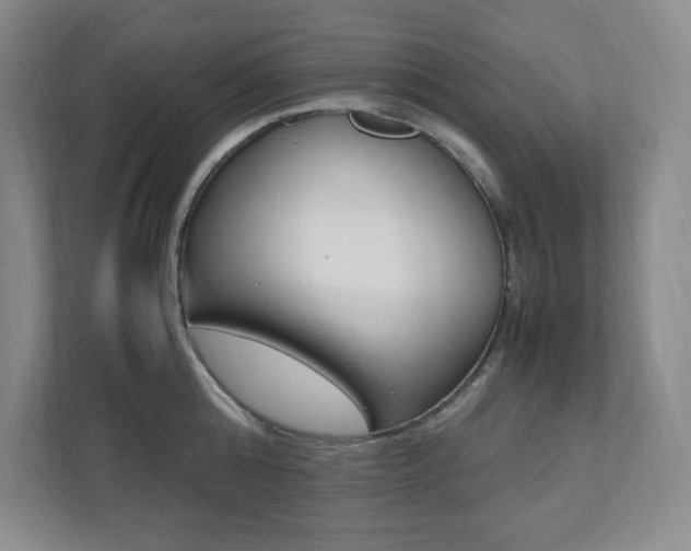 X0000112040808200908031041