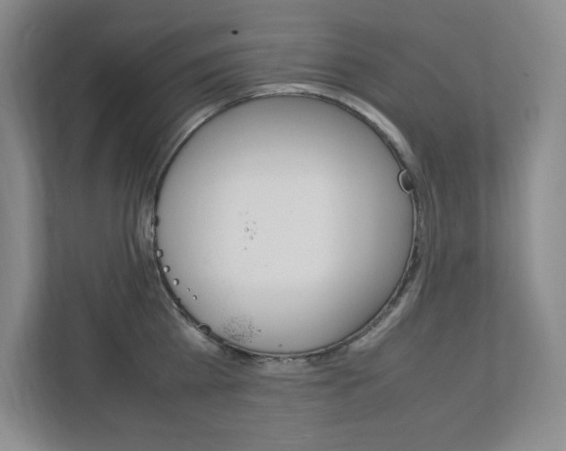 X0000112040809200908031041