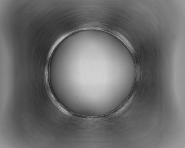 X0000112040812200908031041