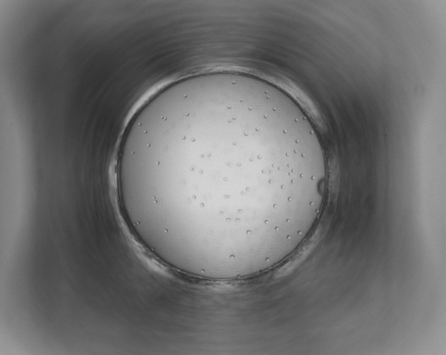 X0000112040814200908031041