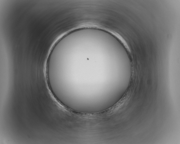 X0000112040815200908031041