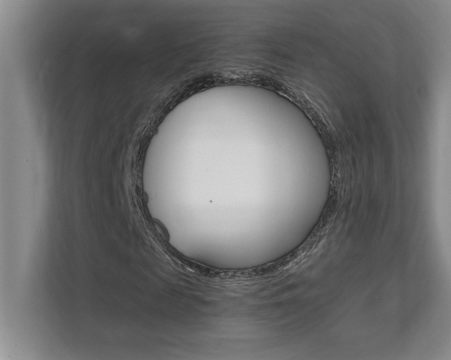 X0000112040817200908031040