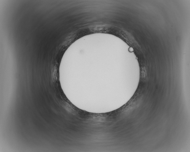 X0000112040820200908031040