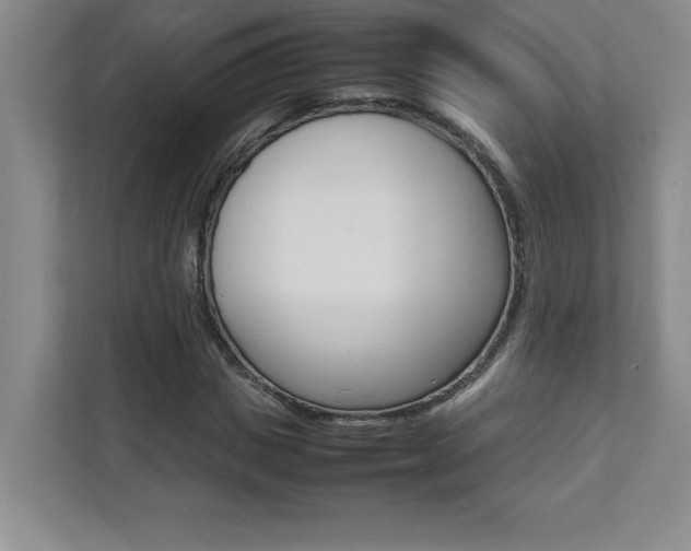 X0000112040825200908031040