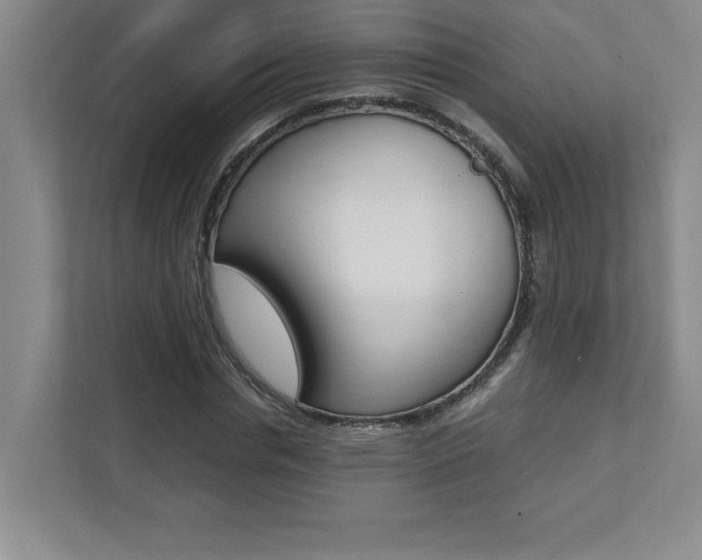 X0000112040826200908031040