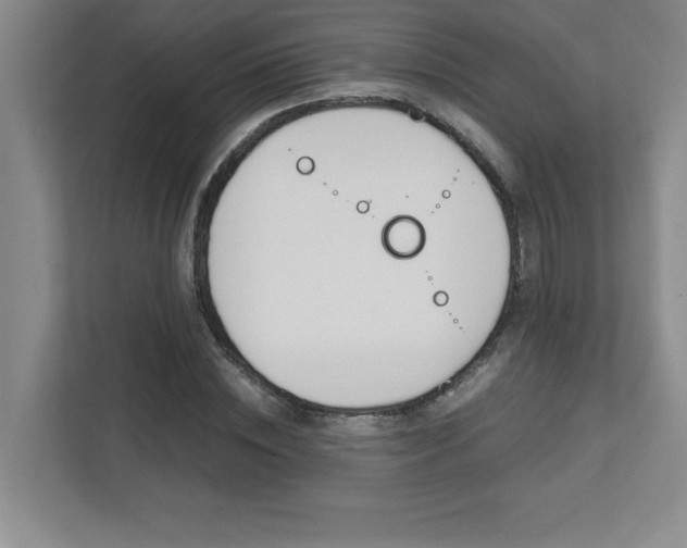 X0000112040828200908031040