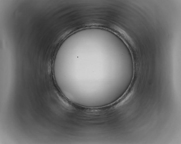 X0000112040833200908031040