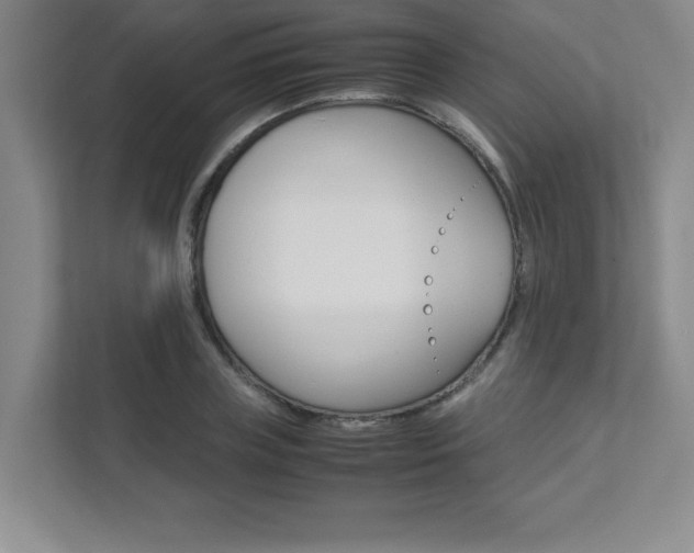 X0000112040835200908031040