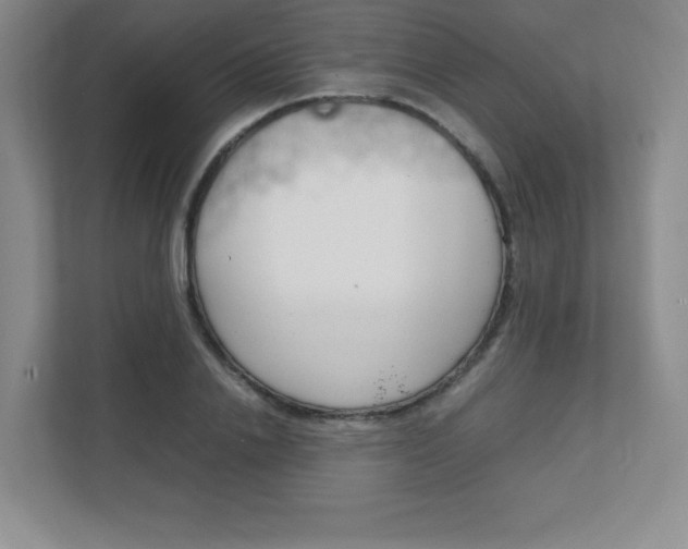 X0000112040838200908031040