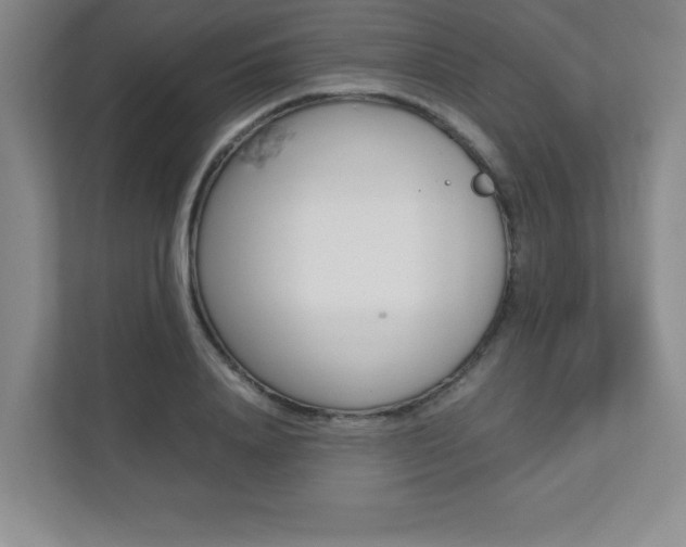 X0000112040840200908031040