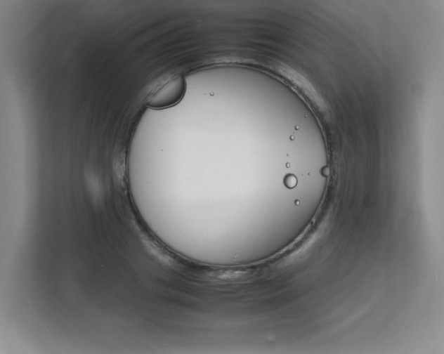 X0000112040841200908031040