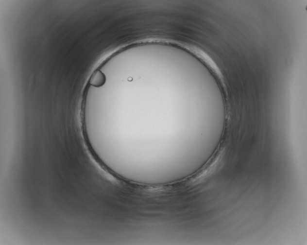 X0000112040847200908031041