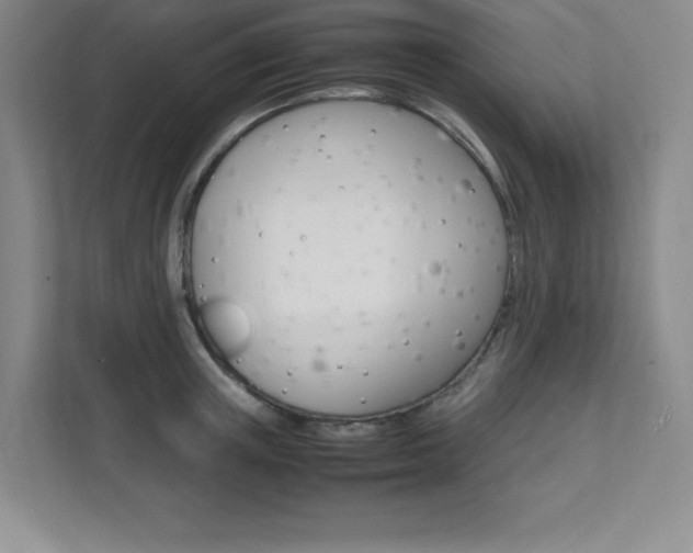 X0000112040851200908031041