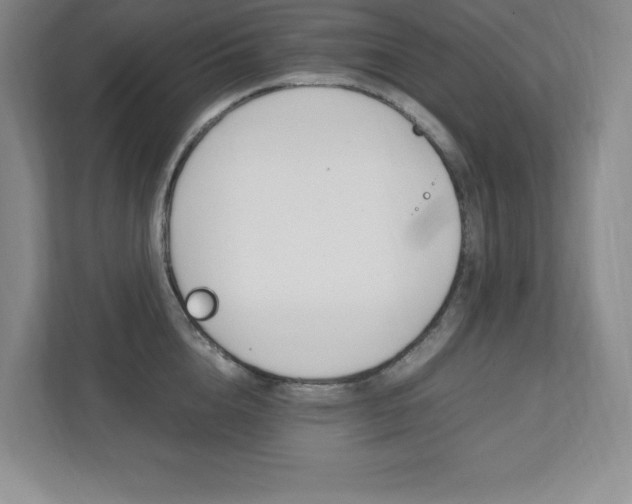 X0000112040856200908031041