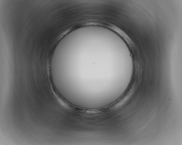 X0000112040857200908031041