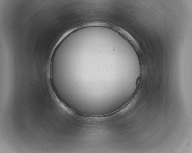 X0000112040860200908031041
