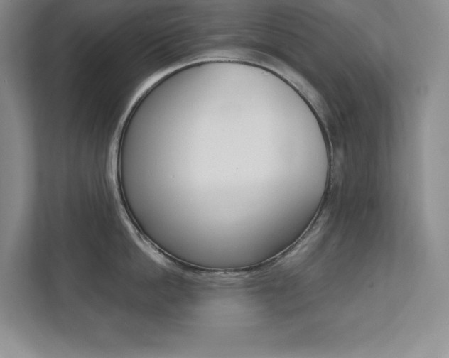 X0000112040862200908031041