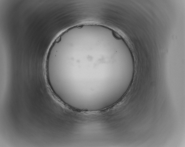 X0000112040864200908031041