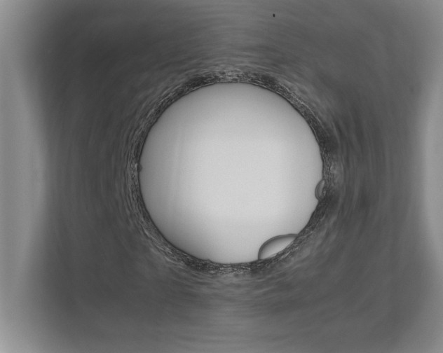 X0000112040865200908031040