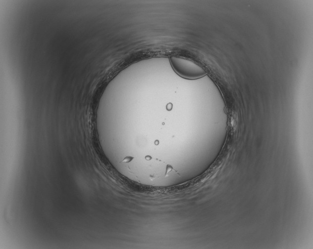X0000112040867200908031040