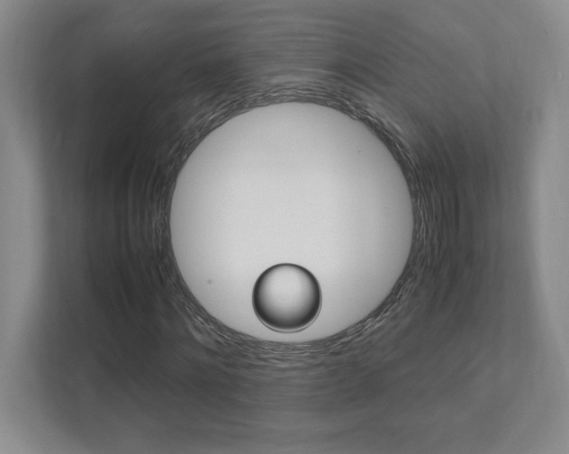 X0000112040868200908031040