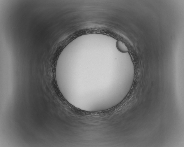 X0000112040869200908031040