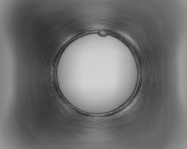 X0000112040873200908031040