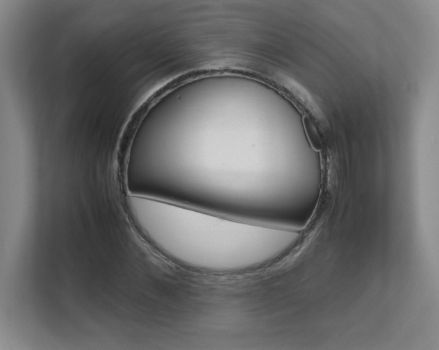 X0000112040876200908031040