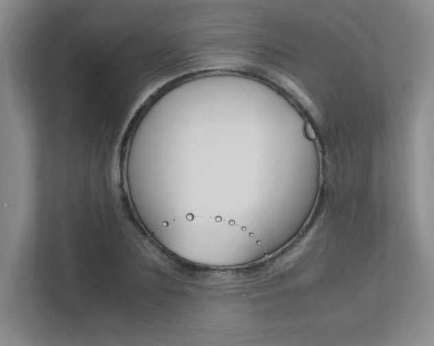 X0000112040883200908031040