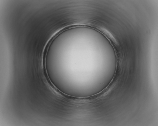 X0000112040884200908031040