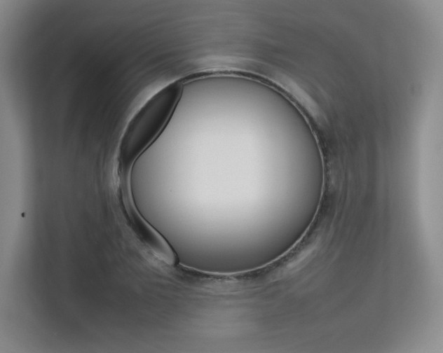 X0000112040885200908031040