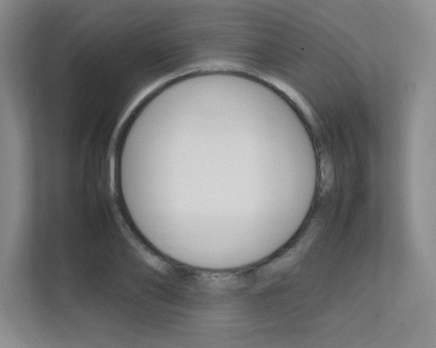 X0000112040886200908031040