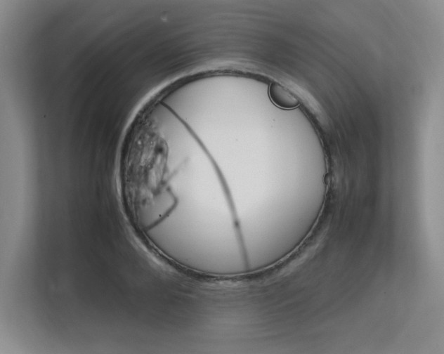 X0000112040888200908031040