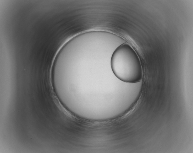 X0000112040892200908031040