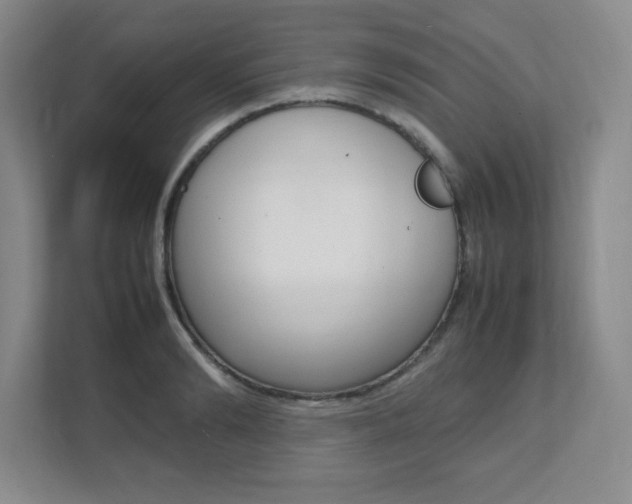 X0000112040894200908031040