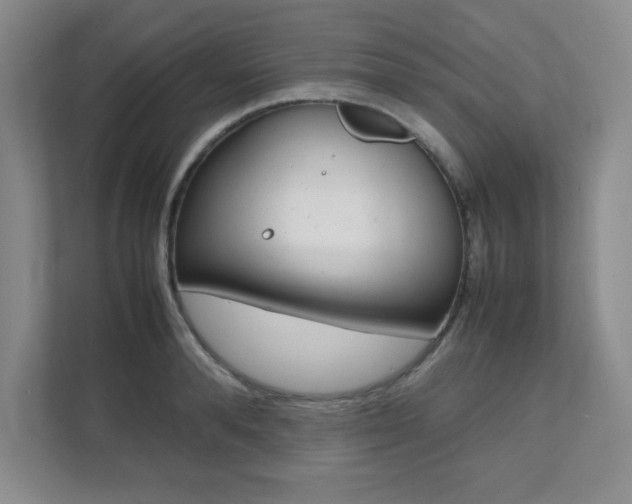 X0000112040896200908031040