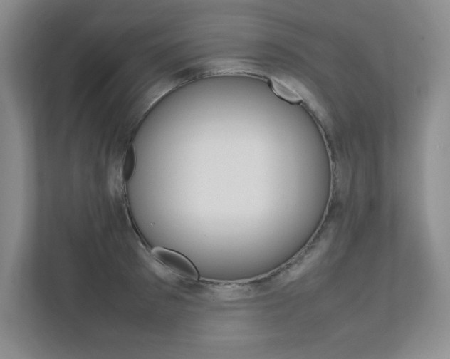 X0000112040897200908031040