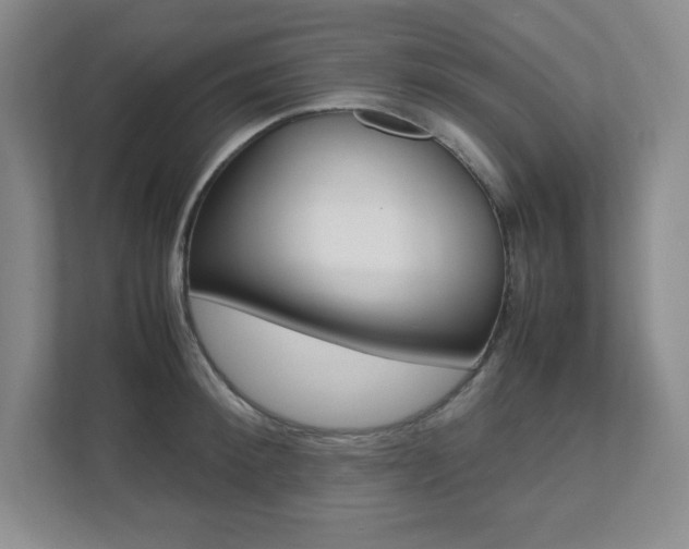 X0000112040900200908031040