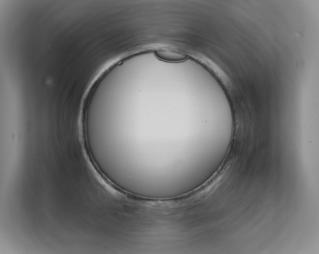 X0000112040902200908031040