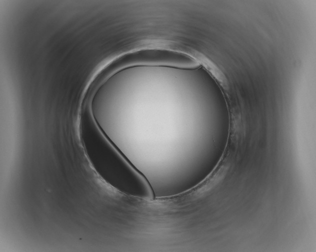 X0000112040904200908031040